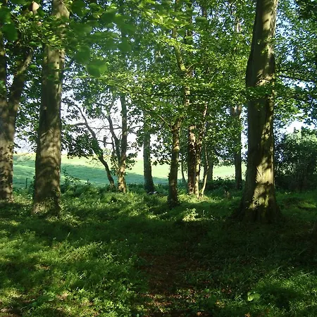 Bed & Breakfast Du Bel Event