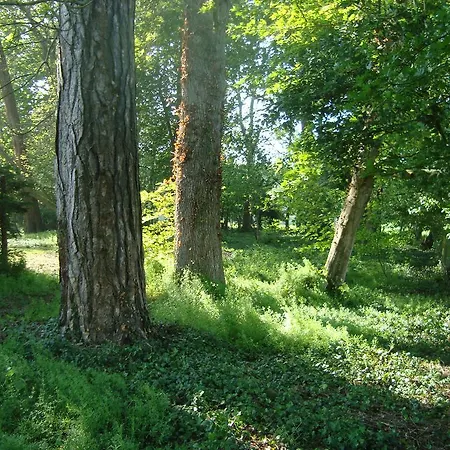 Bed & Breakfast Du Bel Event La Chapelle-sur-Dun