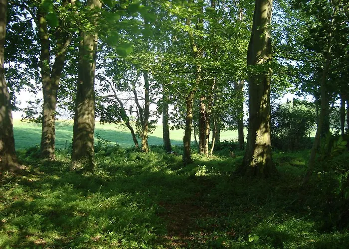 Bed & Breakfast Du Bel Event