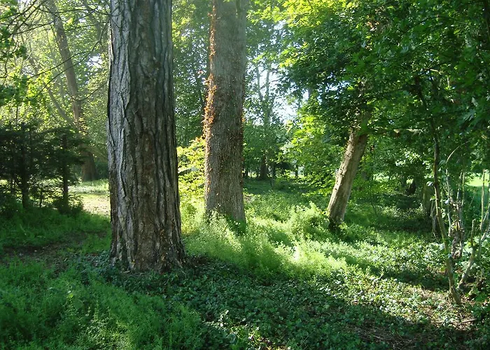 Bed & Breakfast Du Bel Event La Chapelle-sur-Dun