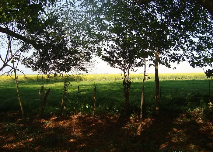 Bed & Breakfast Du Bel Event